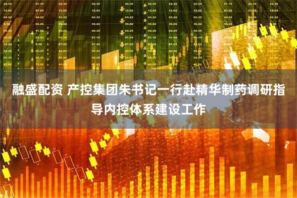 融盛配资 产控集团朱书记一行赴精华制药调研指导内控体系建设工作