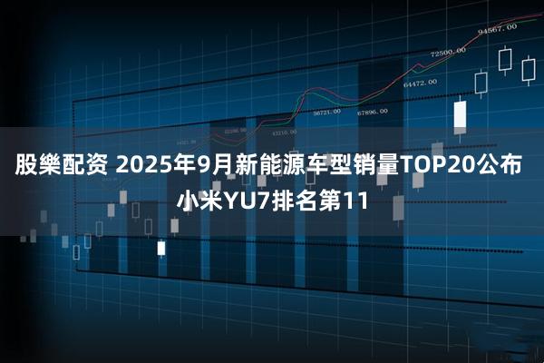股樂配资 2025年9月新能源车型销量TOP20公布 小米YU7排名第11