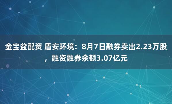 金宝盆配资 盾安环境：8月7日融券卖出2.23万股，融资融券余额3.07亿元